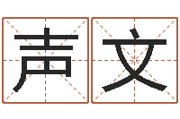 杨声文周易三命汇通-看名字算命