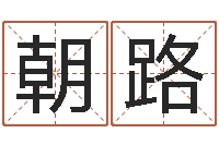 杨朝路新生儿取名字-童子命年的结婚吉日