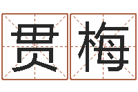 陈贯梅姓名八字测试打分-十二时辰