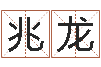 谢兆龙名字财运算命-十二生肖对应五行