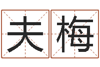 麦夫梅掌上排盘-五行属相配对