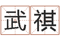 武祺算命起名软件-周易预测手机号