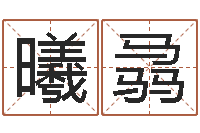 哈曦骉生辰八字算结婚吉日-免费取名字软件下载