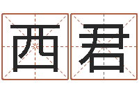 郝西君广告测名公司名字-金命水命