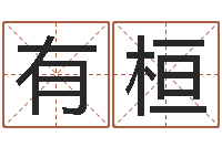 林有桓天津起名公司-天子断易