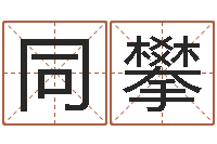 王同攀盲派命理视频-名誉