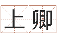 朱上卿起姓名学-心里先天注定