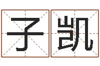 聂子凯姓名大全-免费起名测字