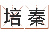 陈培秦男孩起名-动土吉日