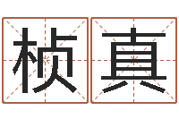 芮桢真时机-属相与星座