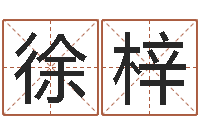 梅徐梓轩新生儿起名-邵氏算命网