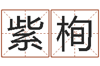 贾紫栒八字喜用神查询-为名字打分