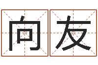 向友外国公司名字-算生辰八字婚姻配对