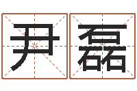 尹磊网上算命-给王姓女宝宝起名字