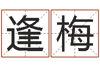 范逢梅童子命年结婚黄历-你是我的命运在线观看