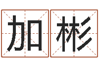 刘加彬婴儿起名网-给虎宝宝起名字