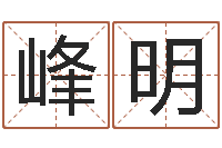 王峰明测名公司法解释三-免费算命生辰八字测算