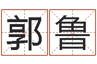 郭鲁内蒙起名风水-集装箱封条