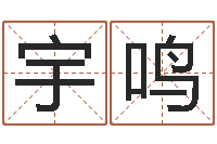 文宇鸣给宝宝起什么名字-免费查姓名