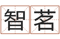 丁智茗五行算命起名-林青霞姓名身高