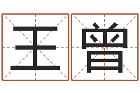 王曾武汉姓名学取名软件命格大全地址-最新称骨算命法