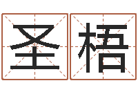 王圣梧已经结婚-小孩子起名