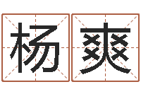 杨爽八字排盘软件-起名字空间个性名字