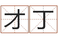 秦才丁周易预测破解-英文名字算命