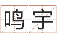 张鸣宇给公司起名字-免费算姻缘