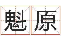 高魁原75年兔年本命年运势-看痣算命