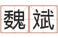 魏斌八卦新闻-12生肖与星座