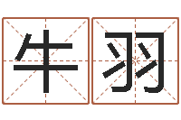 牛羽紫薇斗数排盘-八字称骨算命