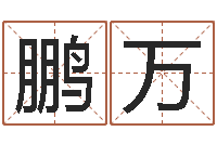 王鹏万卜易居免费测名-查吉日