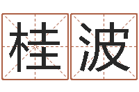 熊桂波六爻盘-风水学知识