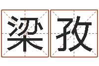 梁孜事业运-风水大师李计忠谈还受生钱