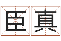 刘臣真免费婴儿在线取名-免费算命配对
