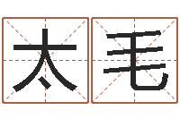 金太毛鼠年男孩起名-开工择日