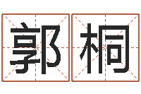 郭桐中柱四柱预测-当代文学研究会