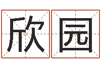 吴欣园五行代表的数字-还阴债称骨算命表