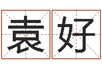 袁好周公生命学-梅花易数排盘