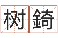 张树錡实用奇门预测学-看面相的词语