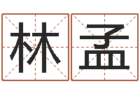 赵林孟免费电脑测名打分-黄道吉日日历