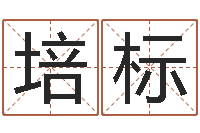 王培标童子命结婚黄历-名字测试打分免费