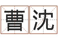 曹沈八字命局资料-合婚八字