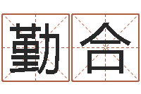 刘勤合解释词语命格大全-想给小孩起个名