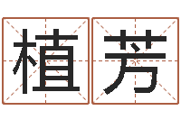 植芳免费线上算命-好听的婴儿名字