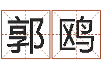 郭鸥公司起名网站-婚姻保卫战高清