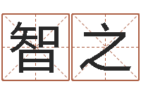 杨智之公司取名网-北京的风水