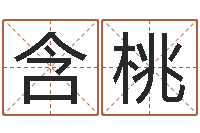 聂含桃袁天罡称骨算命术-排八字软件