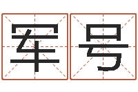 朱军号属相猪和龙-婚姻生辰八字算命网